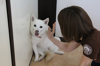 ゆきちゃん
