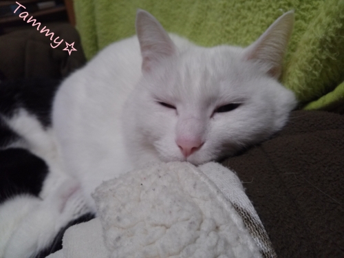 IMG04909 - コピー