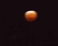 DSC07944-crop.jpg