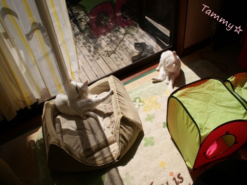 DSC07946_R.jpg