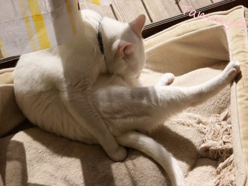 DSC07947_R.jpg