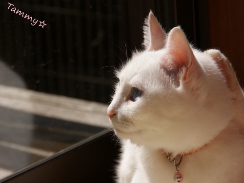 DSC07952_R.jpg