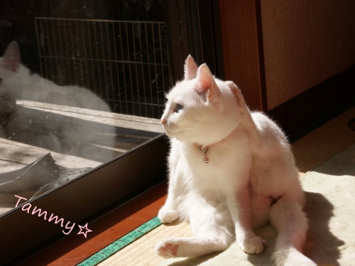 DSC07953_R.jpg