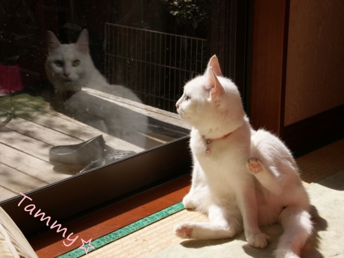 DSC07957_R.jpg