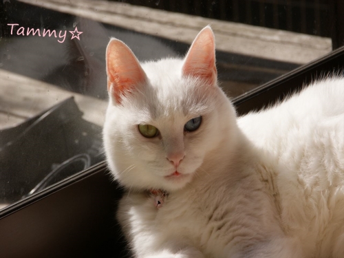 DSC07960_R.jpg