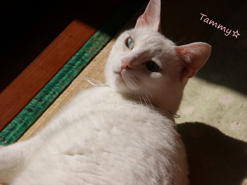 DSC07975_R.jpg
