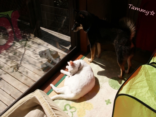 DSC07976_R.jpg