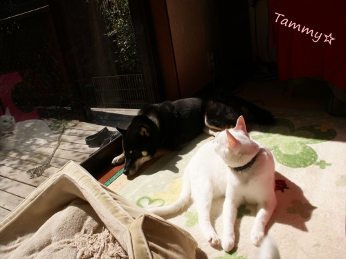 DSC07979_R.jpg