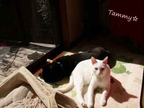 DSC07985_R.jpg