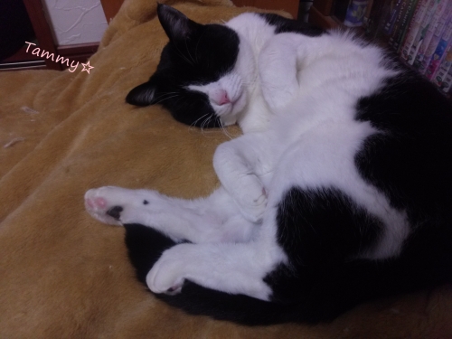 IMG04770.jpg
