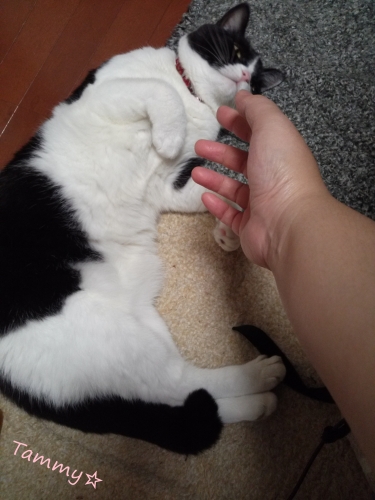 IMG04776.jpg