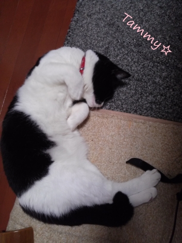 IMG04777.jpg
