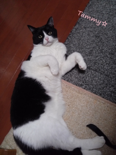 IMG04778.jpg