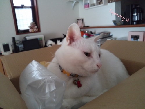 IMG04784.jpg
