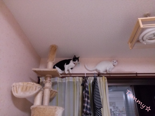 IMG04814.jpg