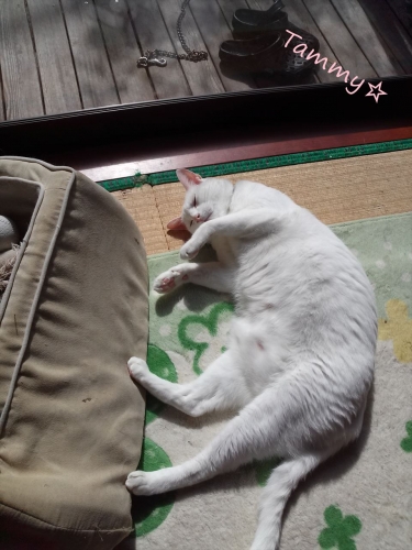 IMG04865_R.jpg