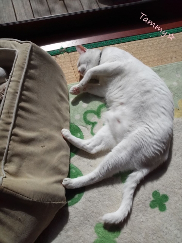 IMG04867_R.jpg
