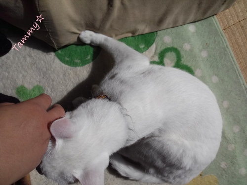 IMG04870.jpg