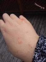 IMG04903_R.jpg