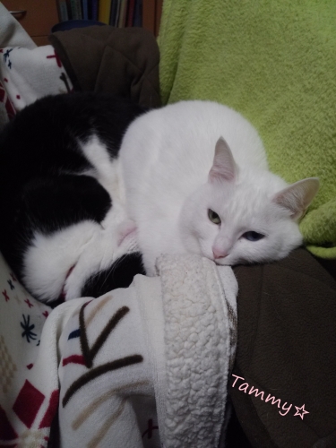 IMG04911.jpg