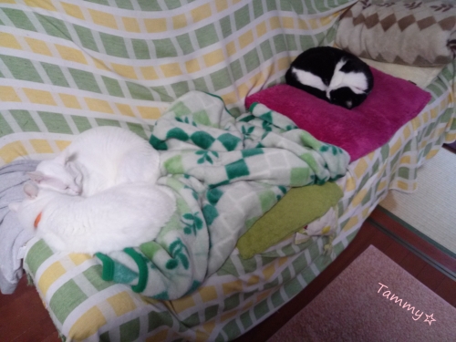 IMG04915.jpg