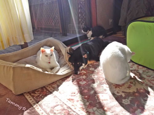 IMG04928.jpg