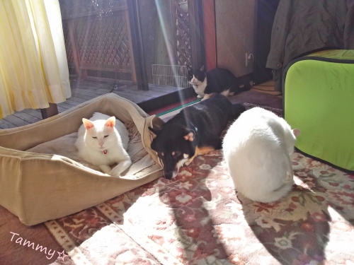IMG04931.jpg