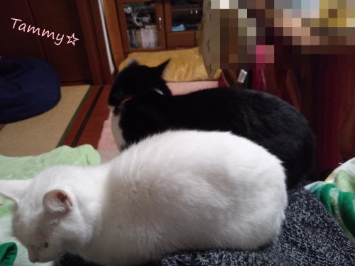 IMG04977.jpg