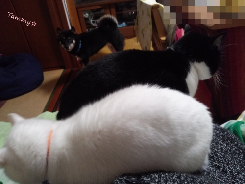 IMG04985.jpg