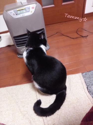 IMG04999.jpg