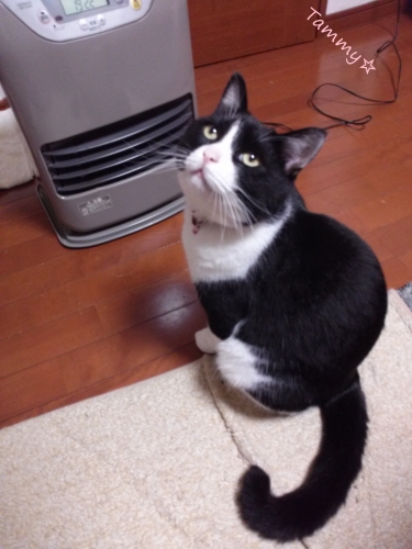 IMG05001.jpg
