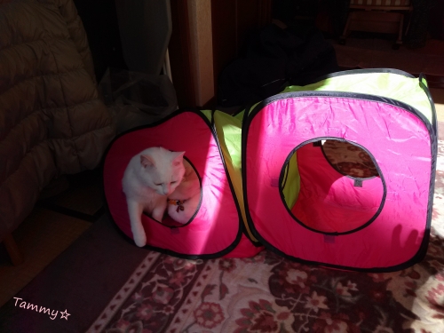 IMG05070.jpg
