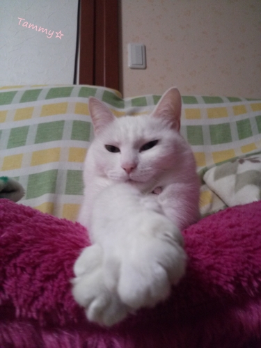 IMG05079.jpg