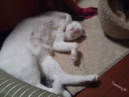 IMG05096.jpg