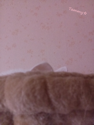 IMG05172.jpg
