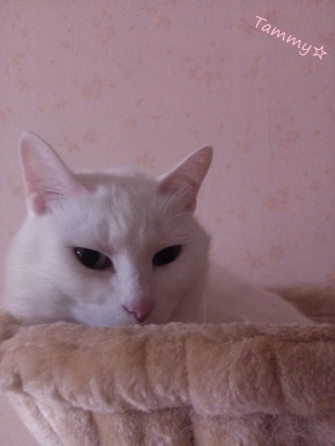 IMG05173.jpg