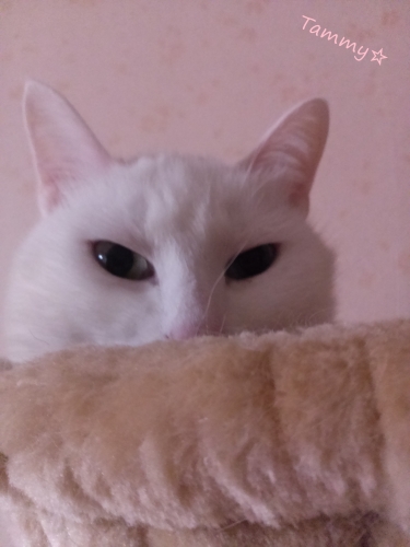 IMG05174.jpg