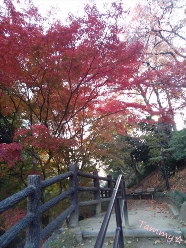 IMG05180_R.jpg