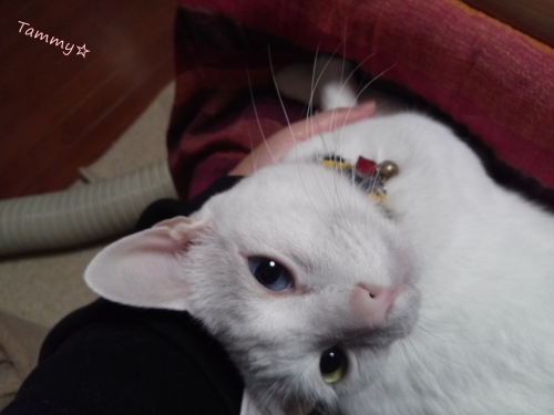 IMG05186.jpg