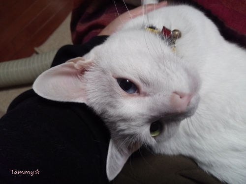 IMG05187.jpg