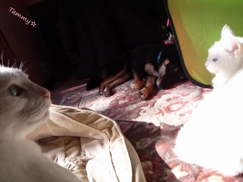IMG05219.jpg