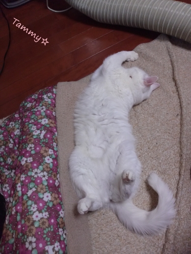 IMG05258.jpg