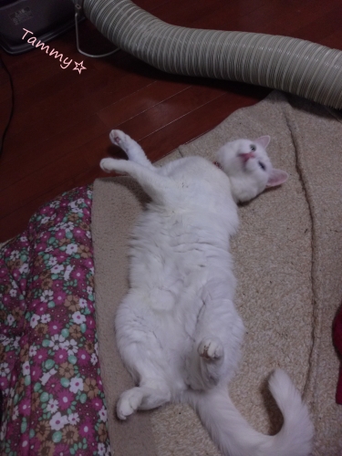 IMG05260.jpg