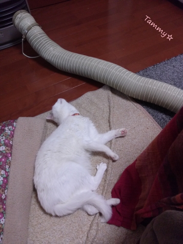 IMG05265.jpg