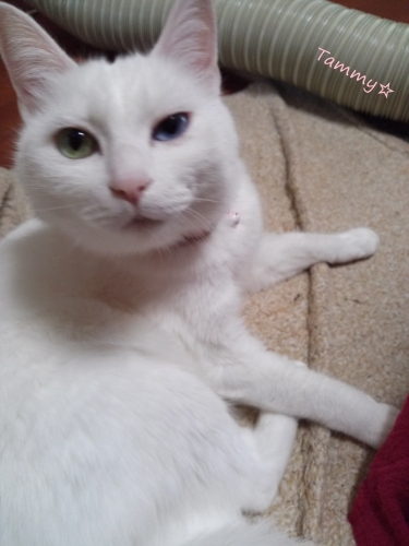 IMG05270.jpg