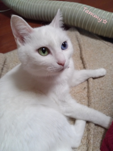 IMG05275.jpg