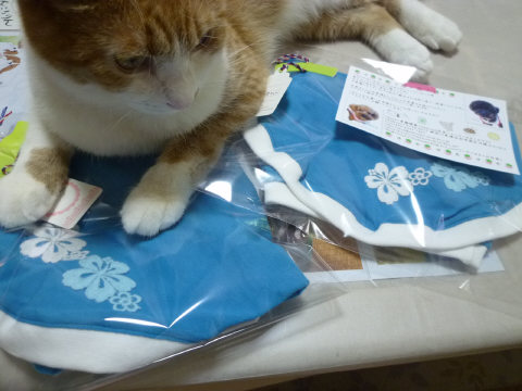 P1020259.jpg