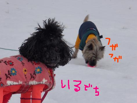 130116d.jpg