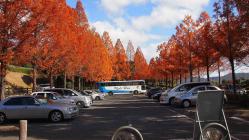 鏡山公園20121121-1