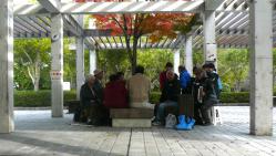鏡山公園20121121-4